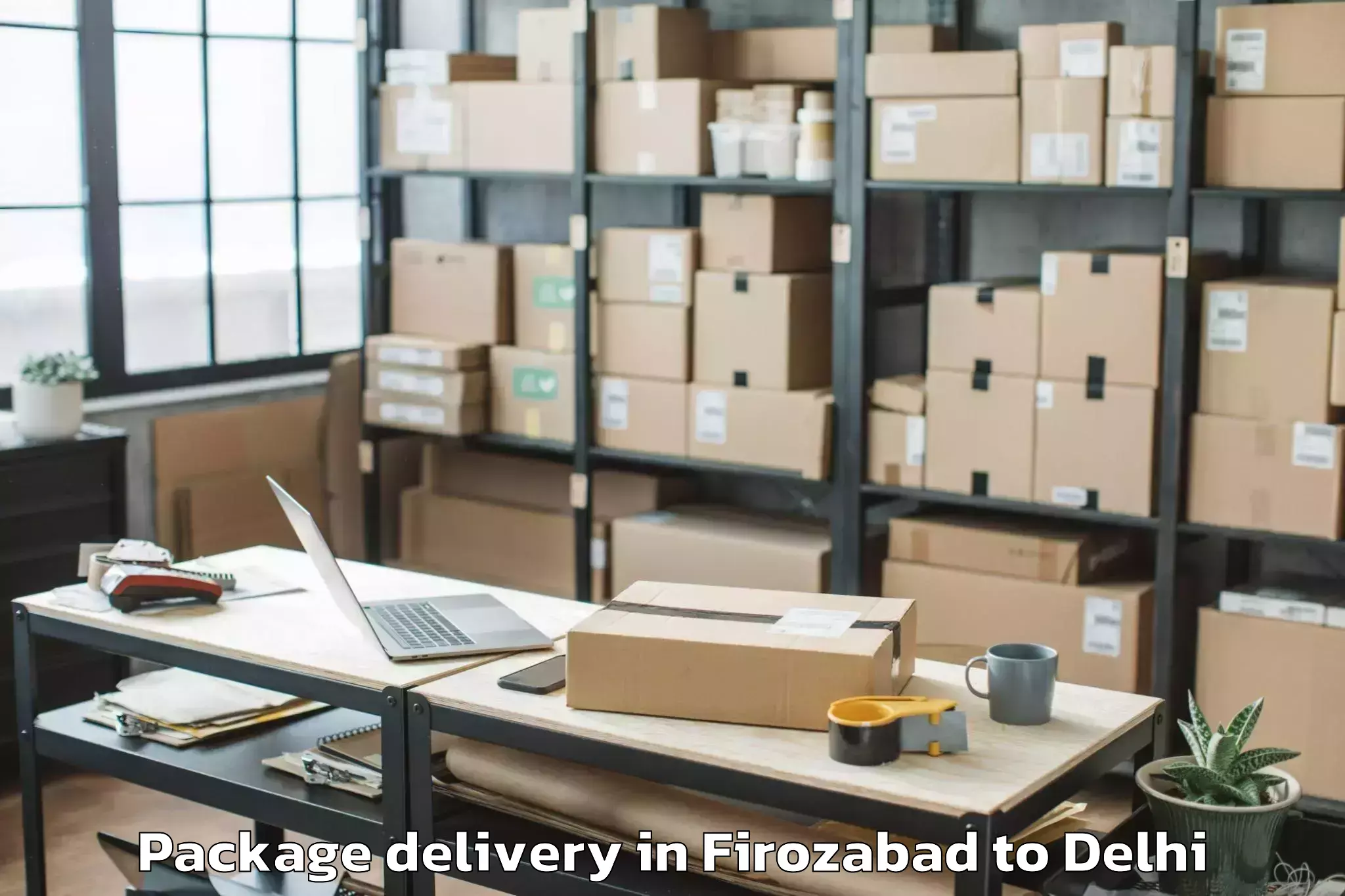 Easy Firozabad to Pitampura Package Delivery Booking